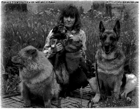 Лариса Прокопьева и ее четыре собаки